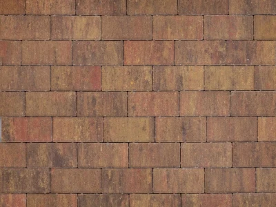 Плитка тротуарная "Брусчатка" 200х100х60 Колормикс Алтайский Марс